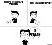 я говорю что хочу быть профоргом но не еду на профучебу я чудак