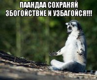 паандаа сохраняй збогойствие и узбагойся!!! 