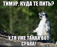 тимур, куда те пить? у тя уже такая вот срака!