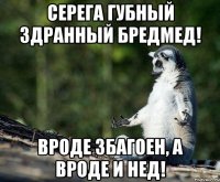 серега губный здранный бредмед! вроде збагоен, а вроде и нед!