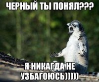 черный ты понял??? я никагда не узбагоюсь)))))