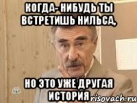 когда- нибудь ты встретишь нильса, но это уже другая история