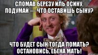 сломав березу иль осину, подумай — что оставишь сыну? что будет сын тогда ломать? остановись, ебена мать!