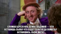  сломав березу иль осину, подумай — что оставишь сыну? что будет сын тогда ломать? остановись, ебена мать!