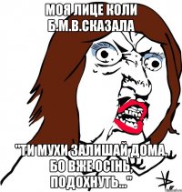 моя лице коли б.м.в.сказала "ти мухи залишай дома, бо вже осінь, подохнуть..."