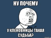 ну почему у кленовницы такая судьба?