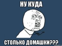 ну куда столько домашки???