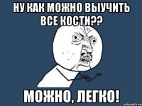 ну как можно выучить все кости?? можно, легко!