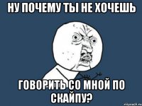 ну почему ты не хочешь говорить со мной по скайпу?