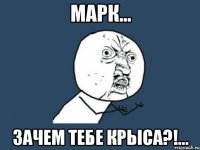 марк... зачем тебе крыса?!...