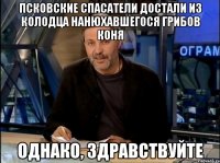 псковские спасатели достали из колодца нанюхавшегося грибов коня однако, здравствуйте