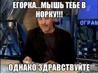 егорка...мышь тебе в норку!!! однако здравствуйте