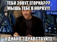 тебя зовут егорка??? мышь тебе в норку!!! однако здравствуйте