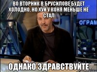 во вторник в брусилове будет холодно, но хуй у коня меньше не стал однако здравствуйте