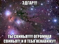 эдгар!!! ты свинья!!! огромная свинья!!! и я тебя ненавижу!!