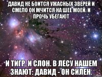 давид не боится ужасных зверей и смело он мчится на шее моей. и прочь убегают и тигр, и слон. в лесу нашем знают: давид - он силен.