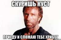 скуришь куст приеду и сломаю тебе хрибет