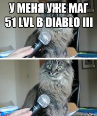 у меня уже маг 51 lvl в diablo iii 