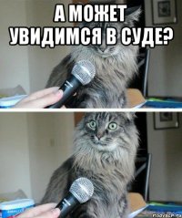 а может увидимся в суде? 