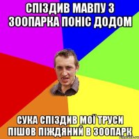 спіздив мавпу з зоопарка поніс додом сука спіздив мої труси пішов піждяний в зоопарк