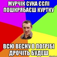 мурчік сука єслі пошкрябаєш куртку всю весну в погрібі дрочіть будеш