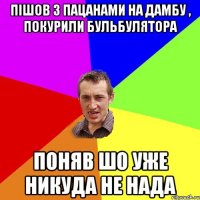 пішов з пацанами на дамбу , покурили бульбулятора поняв шо уже никуда не нада