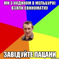 ми з кодиком в мельбурні взяли свиноматку завідуйте пацани