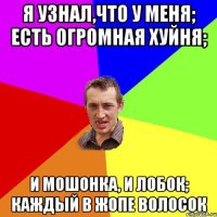 я узнал,что у меня; есть огромная хуйня; и мошонка, и лобок; каждый в жопе волосок