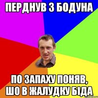 перднув з бодуна по запаху поняв, шо в жалудку біда