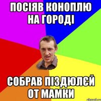 посіяв коноплю на городі собрав піздюлєй от мамки