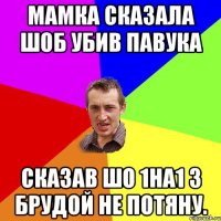 мамка сказала шоб убив павука сказав шо 1на1 з брудой не потяну.