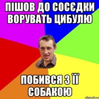 пішов до сосєдки ворувать цибулю побився з її собакою