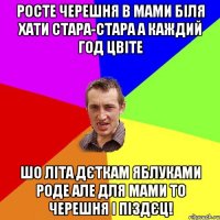 росте черешня в мами біля хати стара-стара а каждий год цвіте шо літа дєткам яблуками роде але для мами то черешня і піздєц!