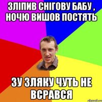 зліпив снігову бабу , ночю вишов постять зу зляку чуть не всрався