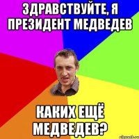 здравствуйте, я президент медведев каких ещё медведев?