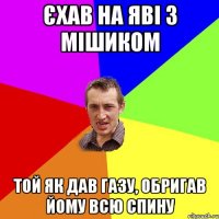 єхав на яві з мішиком той як дав газу, обригав йому всю спину