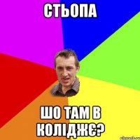 стьопа шо там в коліджє?