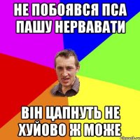 не побоявся пса пашу нервавати він цапнуть не хуйово ж може