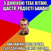 з днюхою тебе вітаю, щастя, радості бажаю хай заживе твоя брова. сьогодні наш дімон вдрова