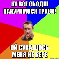 ну все сьоднi накуримося трави! ой сука,щось меня не бере