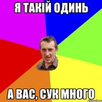 я такій одинь а вас, сук много