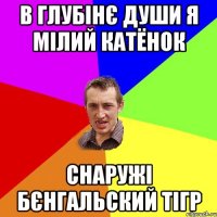 в глубінє души я мілий катёнок снаружі бєнгальский тігр