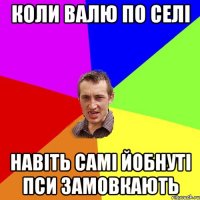 коли валю по селі навіть самі йобнуті пси замовкають