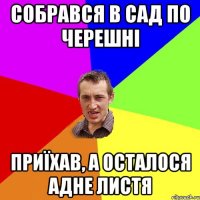 собрався в сад по черешні приїхав, а осталося адне листя