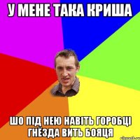 у мене така криша шо під нею навіть горобці гнёзда вить бояця