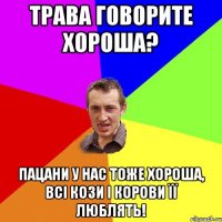 трава говорите хороша? пацани у нас тоже хороша, всі кози і корови її люблять!