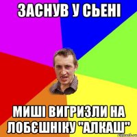 заснув у сьені миші вигризли на лобєшніку "алкаш"