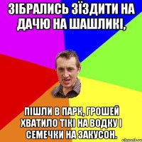 зібрались зїздити на дачю на шашликі, пішли в парк, грошей хватило тікі на водку і семечки на закусон.