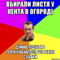 вбирали листя у кента в огородi думав пiдiбрав горiх,оказалося шо гiвно собаки