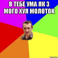 в тебе ума як з мого хуя молоток 